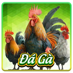 da-ga-dom88